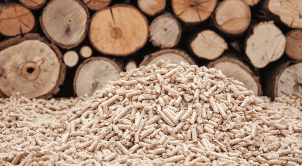 What Are Wood Pellets & How Are They Made?