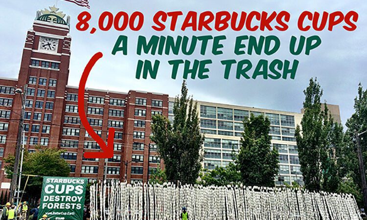 8000 Starbucks Cups