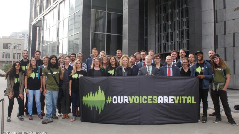 Our Voices are Vital Greenpeace and Stand