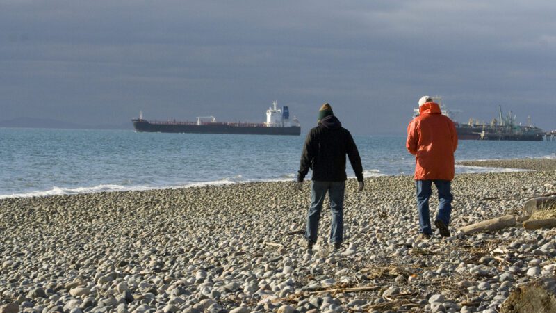 Beach-at-Cherry-Point-WA-where-export-terminal-would-be-built