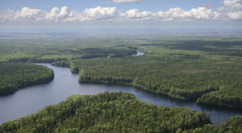 Expanse of Boreal Forest in Canada