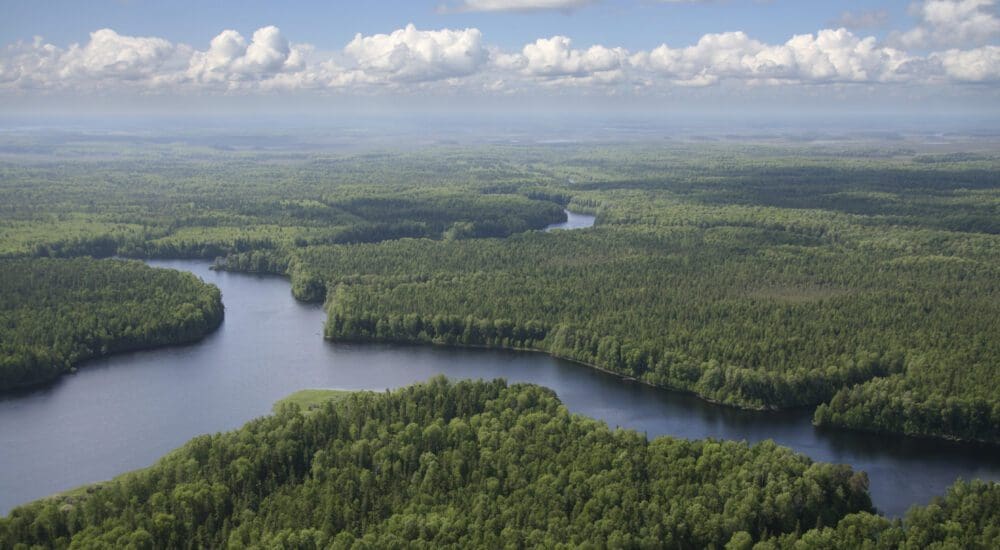 Expanse of Boreal Forest in Canada