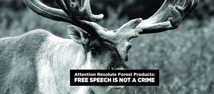 FreeSpeechIsNotACrime