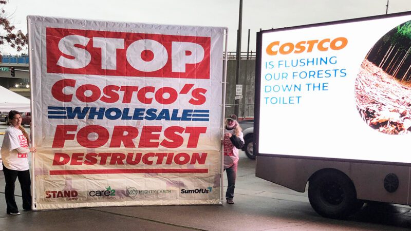 costco-forest-destruction
