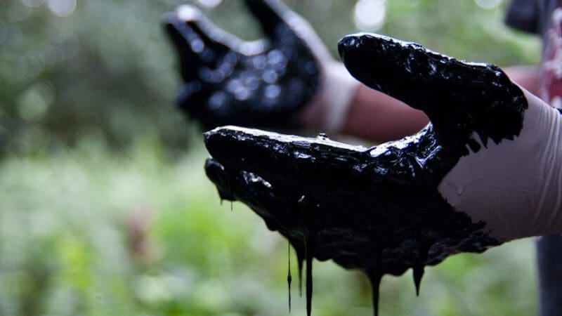 amazon-oil-credit-amazon-watch