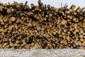 Whole logs destined to be turned into wood pellets