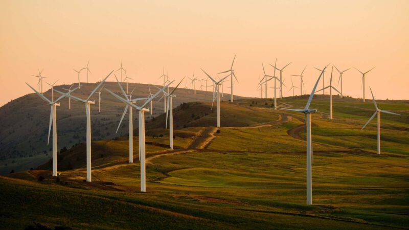 Photo of landscape showing wind turbines to illustrate our Moving Beyond Fossil Fuels impact area