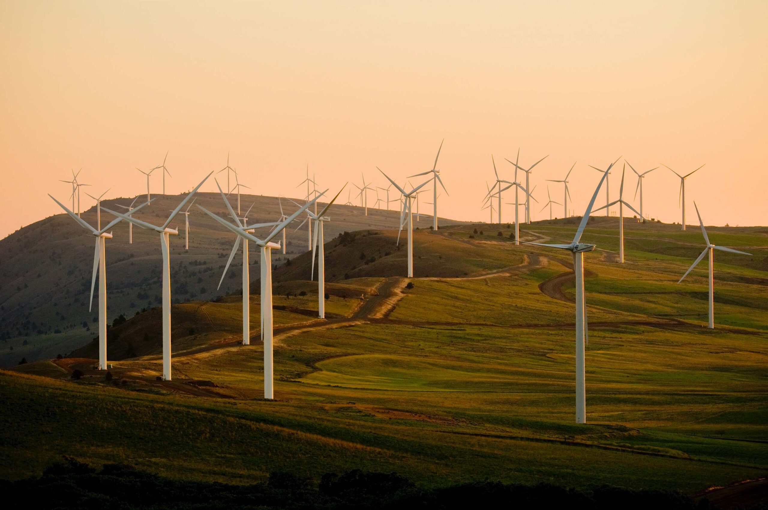 Photo of landscape showing wind turbines to illustrate our Moving Beyond Fossil Fuels impact area