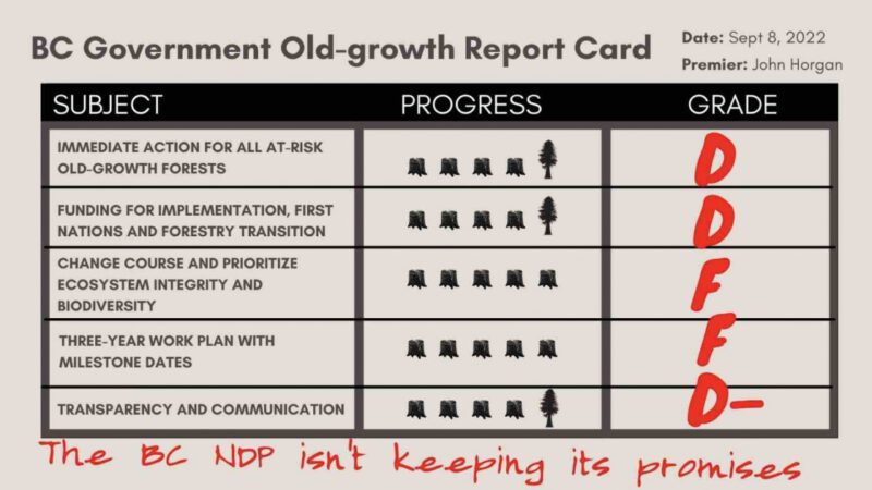 reportcard-bc-oldgrowth