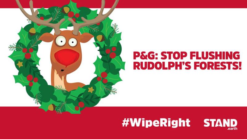 rudolph-stop-flushing-forests-procter-gamble