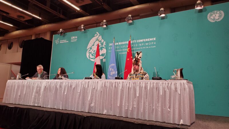 Alicia Guzman (second to left) speaking at panel on Primary Forests Alliance at COP 15 in Montreal