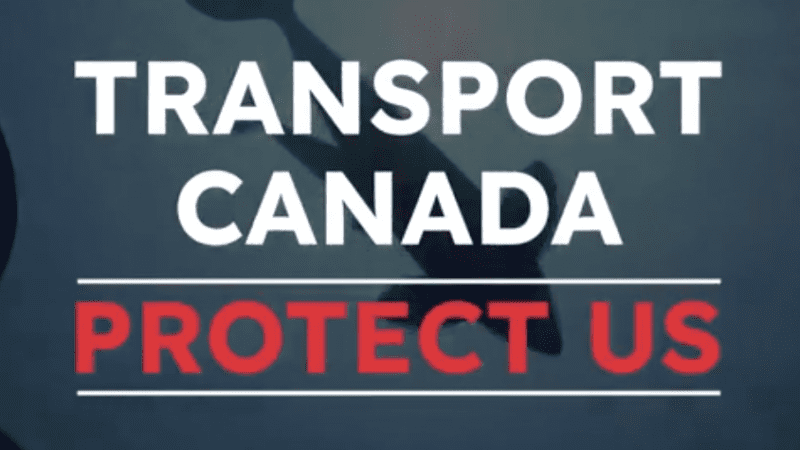 text over image of whales in water that reads Transport Canada Protect Us