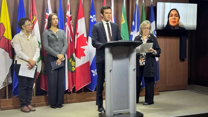 photo of four people at a press conference with one person joining remotely. one person at a podium with flag poles behind the rest of the speakers.