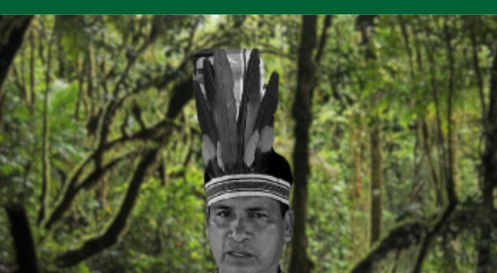 Apu Quinto AIDESEP graphic post