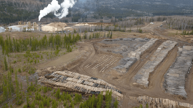 Photo of a biomass pellet plant in Burns Lake, BC taken from a drone. Piles of logs and wood pellets surround the plant which is blooming white smoke into the air.