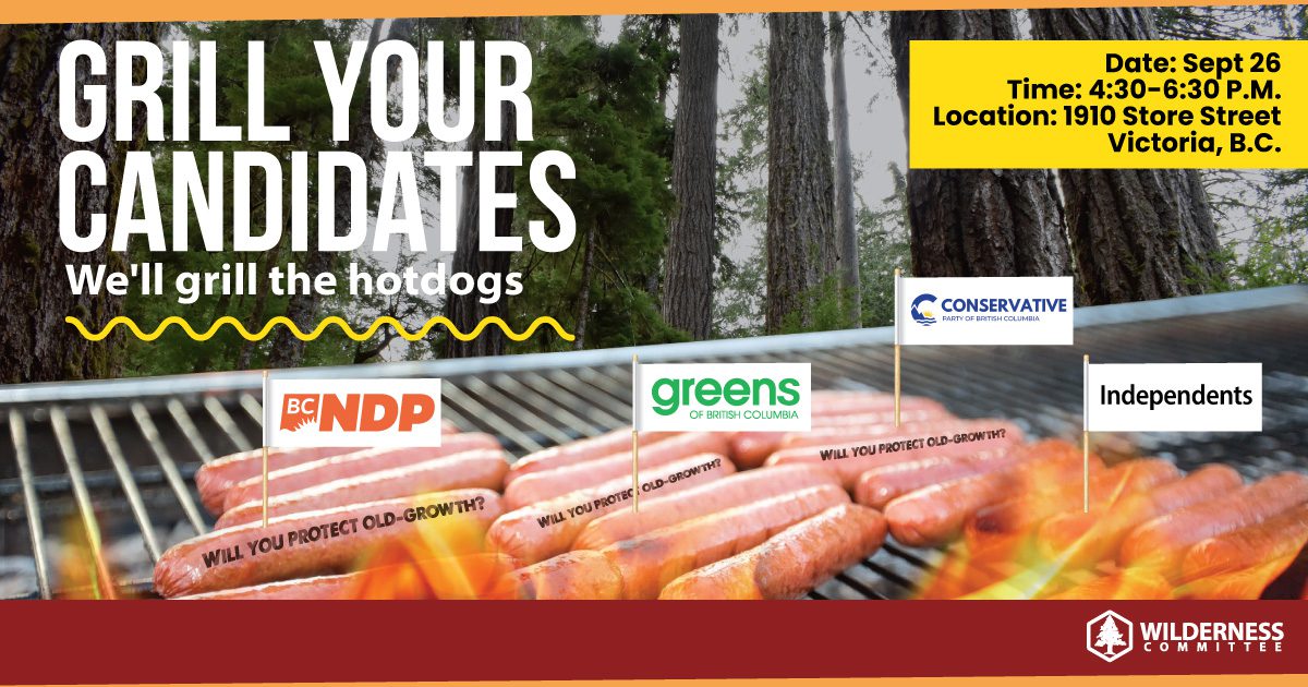 Grill your candidates event banner. Image shows hot dogs on a grill representing the different candidate parties for the 2024 BC election. 