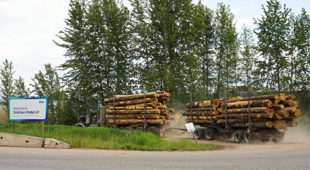Whole logs being brought to Drax's pellet plant, Smithers, B.C. in June 2024 on Wetʼsuwetʼen territory Photo by Desiree Wallace