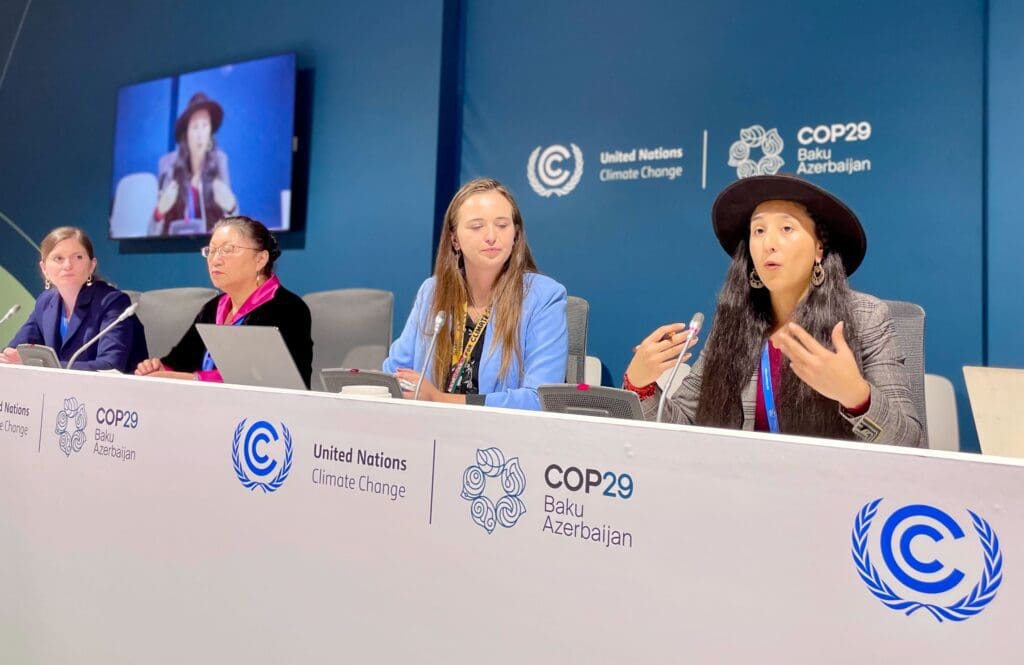 Tegan Hansen, Stand's Senior Forest Campaigner speaking at COP29