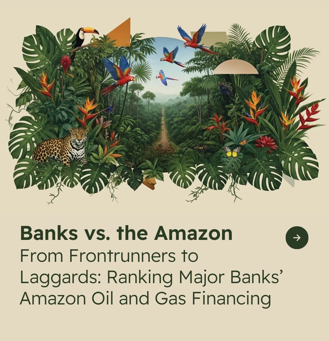 Beige background with graphic featuring animals, river, and trees. Below, black text reading "Banks vs. the Amazon: from frontrunners to laggards: ranking major banks' amazon oil and gas financing"